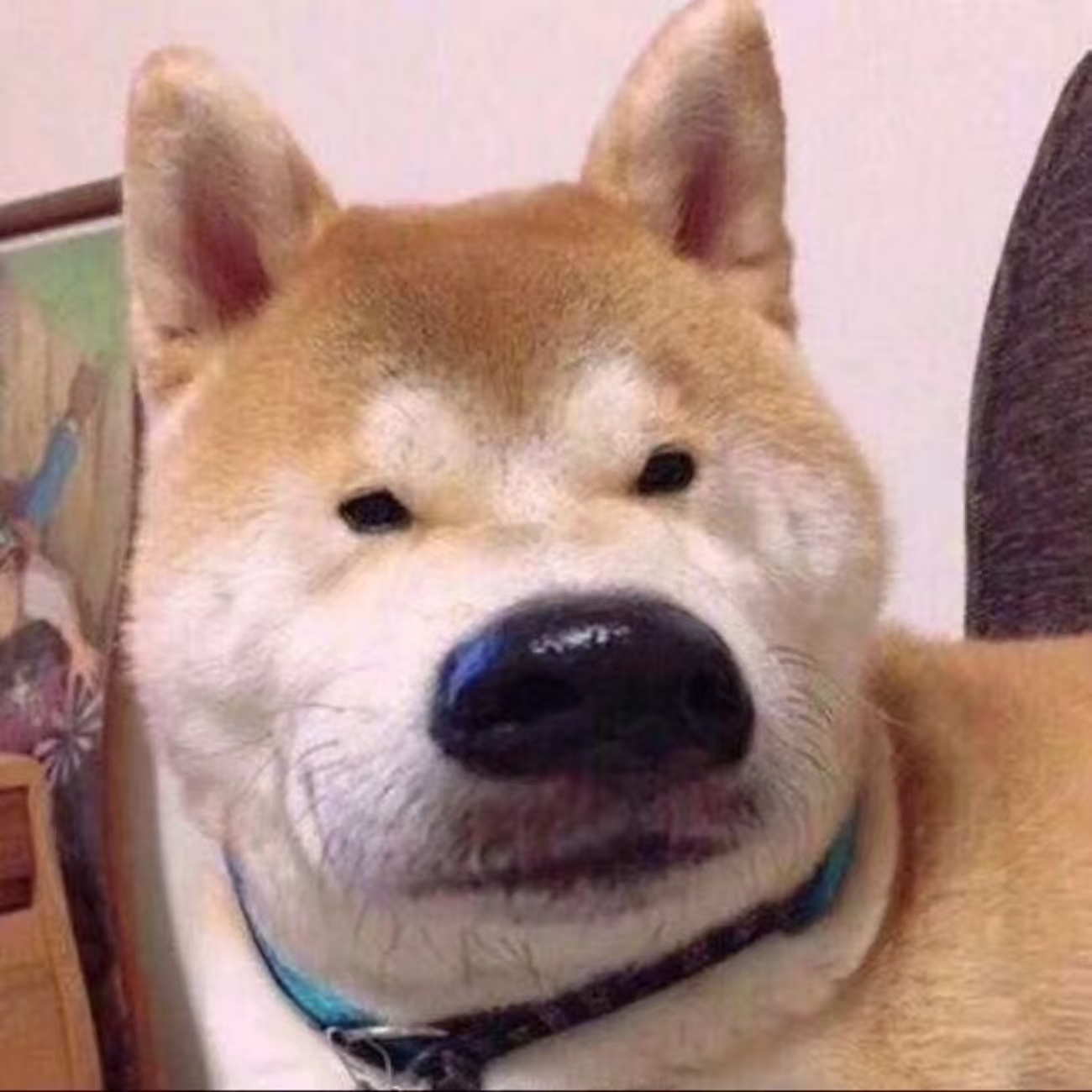 种花